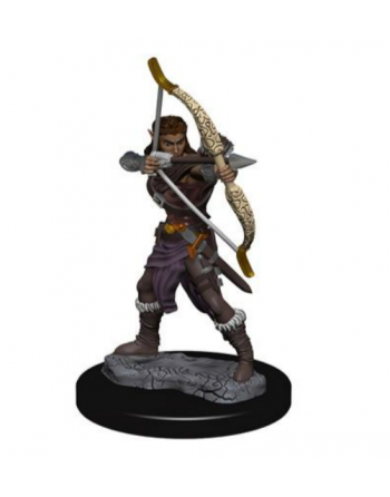 D&D Icons of the Realms...