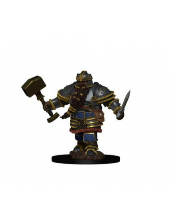 D&D Icons of the Realms...