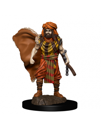 D&D Icons of the Realms...